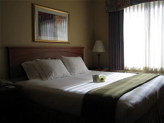 Holiday Inn Express Vancouver North By Ihg Værelse billede